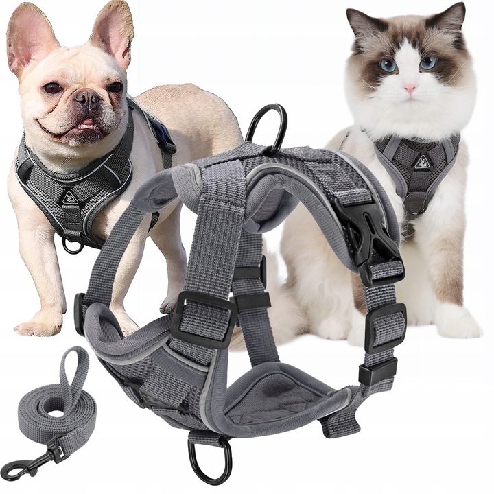 SZELKI BEZUCISKOWE TYPU GUARD + SMYCZ dla KOTA PSA