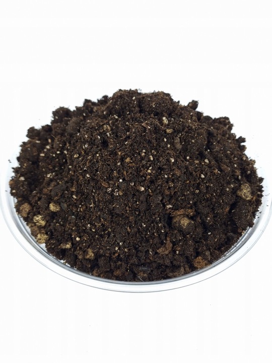 ZIEMIA DO KWIATÓW DONICZKOWYCH monstery palm juk zamiokulkasa