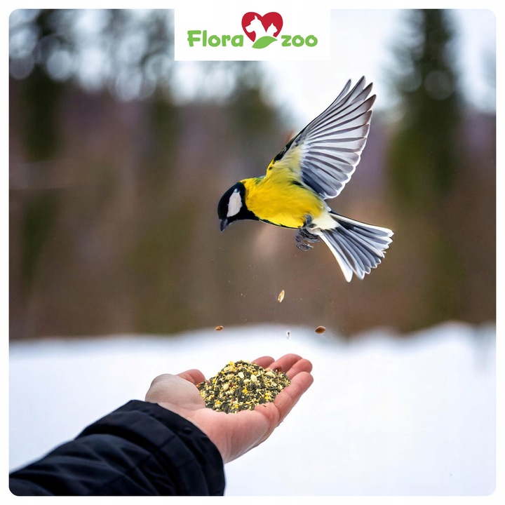 KARMA POKARM ZIARNO SŁONECZNIK DO KARMNIK DLA DZIKICH PTAKÓW ZIMUJĄCYCH