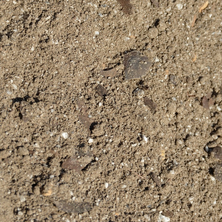 Podłoże dla żółwia stepowego greckiego lądowego Testudo Soil Original 25 L