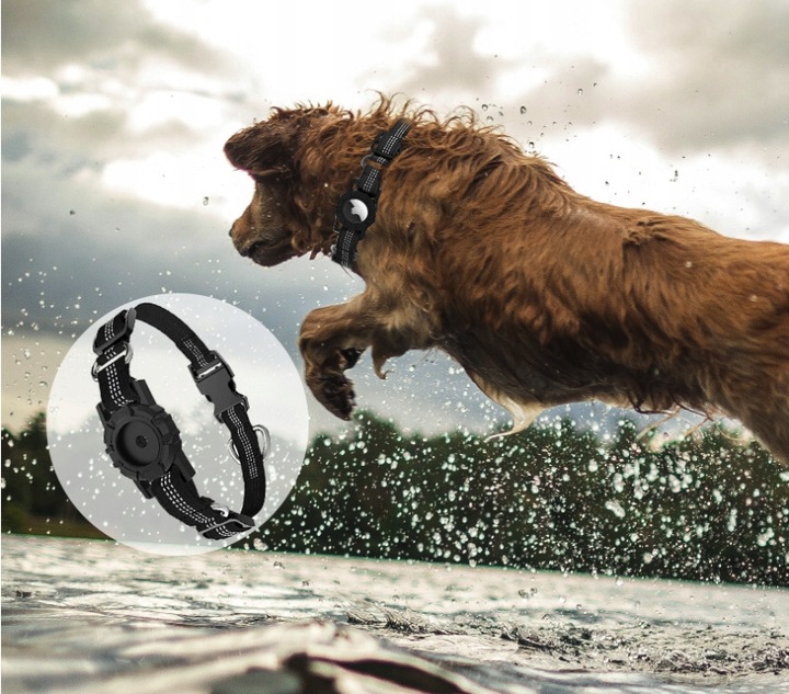 Obroża Uchwyt na Lokalizator Dla Psa Kota Psów M