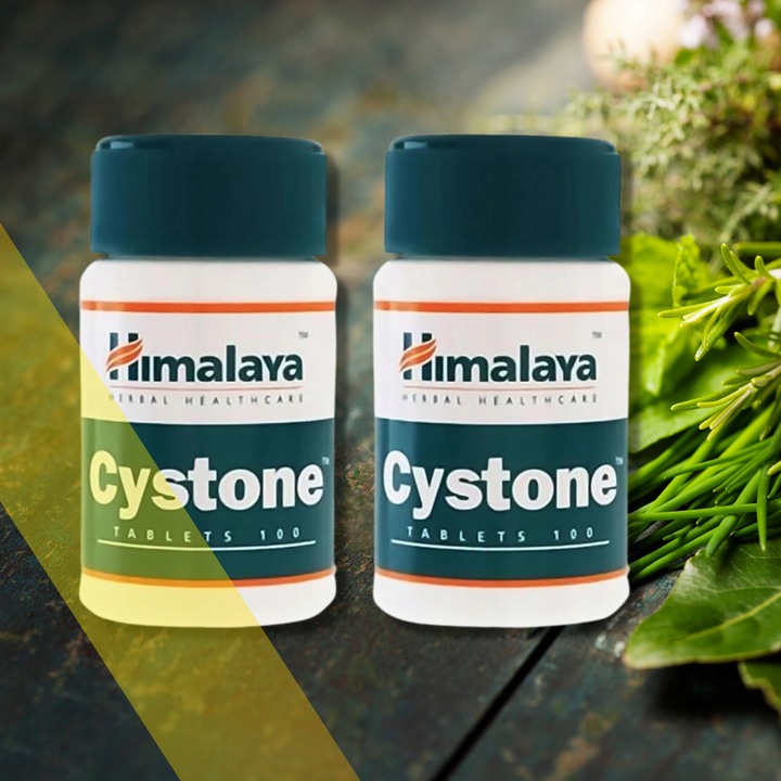 Cystone Wsparcie W Kamicy Nerkowej 100 Tabletek