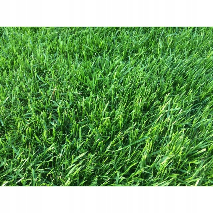 Saletrzak 25kg Nawóz azotowy na trawnik warzywa