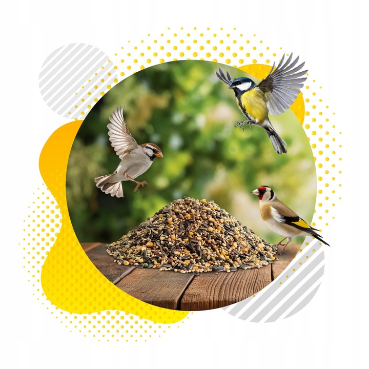 KARMA DLA PTAKÓW 10kg ZE SŁONECZNIK DROBNE ZIARNO DO KARMNIK + PLAKAT