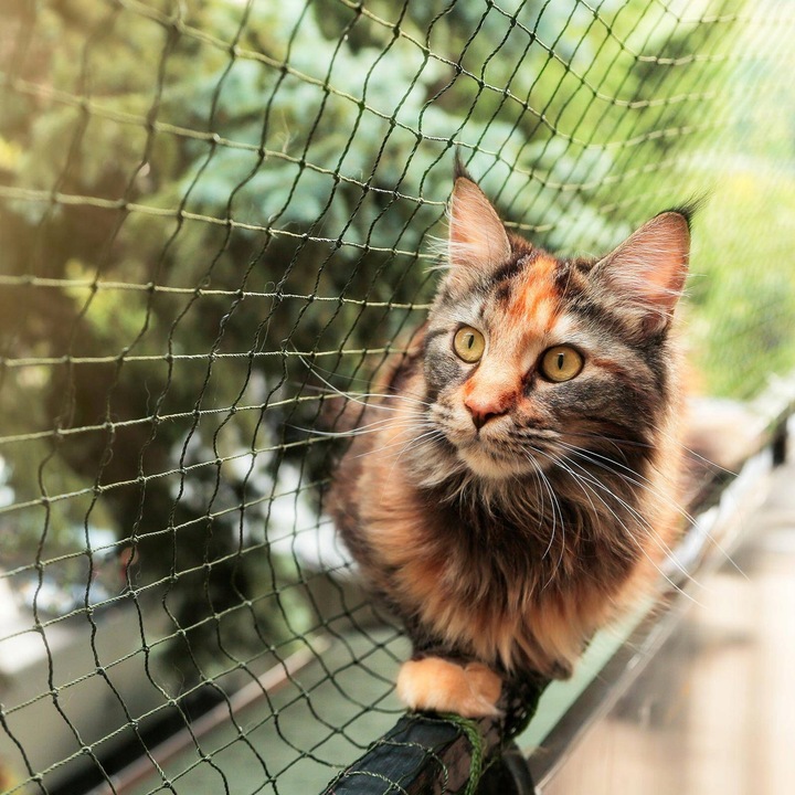 ZESTAW SIATKA NA BALKON DLA KOTA 3x2m Z DRUCIKIEM