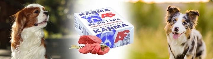 Karma dla Psa Mięso Mrożone Wołowe Bez Kości Surowe Świeże AS 10 kg BARF