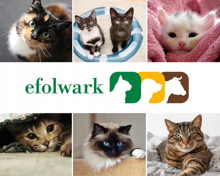 Feliway Optimum, komplet antystresowy dla kotów