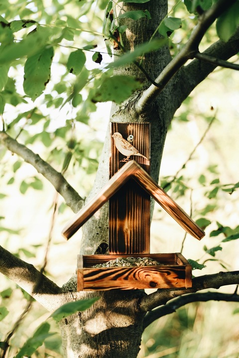 DREWNIANY karmnik dla PTAKÓW budka góralski POLSKI HIT DOMEK