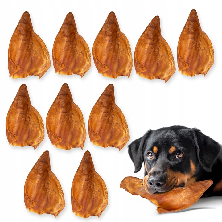 HOCKY Przekąska Przysmak Suszony Gryzak dla Psa Ucho Wieprzowe 10 szt.