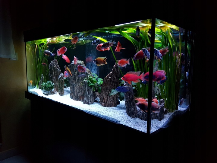 30 KG SUPER BIAŁY PIASEK KWARCOWY DO AKWARIUM 0,5m