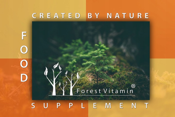 FOREST WITAMINA E NATURALNA ZDROWIE MŁODOŚĆ 100kap