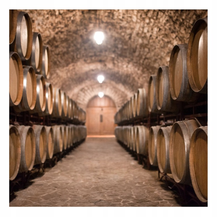 ŚWIEŻE DROŻDŻE PIEKARSKIE 2,5 KG IDEALNE DO PIECZENIA CHLEBA PIZZY