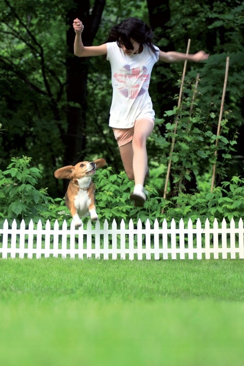 Płotek Palisada Ogrodowa 3,2m IPŁSU Brązowa