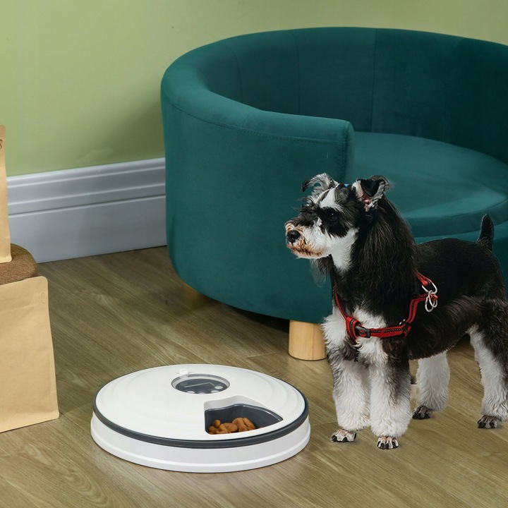 Automatyczny Podajnik Dozownik Karmy Dla Psa I Kota Miska Timer Czasowy