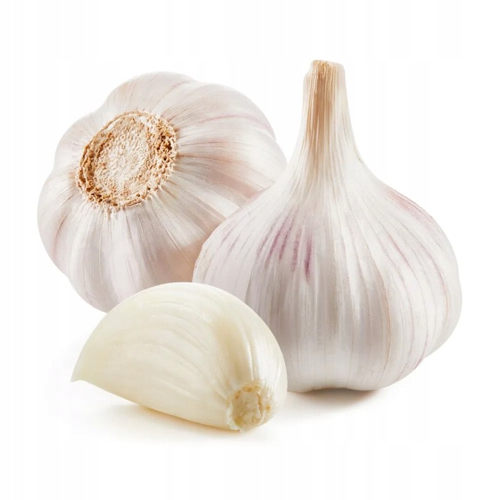 ZESTAW 2x Dymka + Czosnek Harnaś 500g