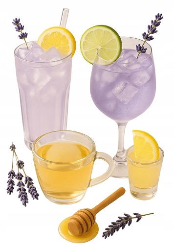 Syrop MONIN Lavender 700 ml – lawendowy do lemoniady i herbaty