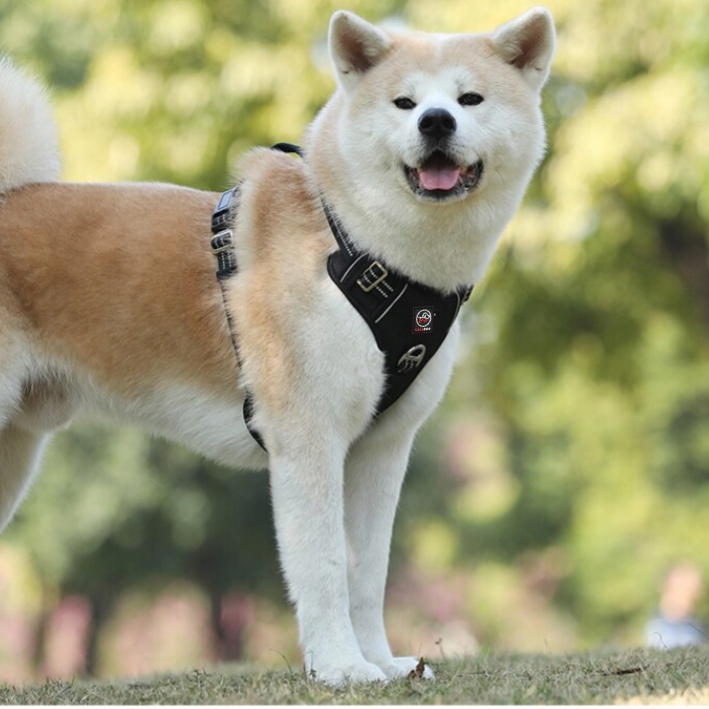 MOCNE SZELKI GUARD dla psa ALASKA odblask red M