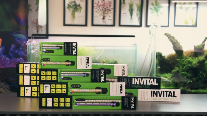 INVITAL DayNight LED 13,2W 58,5cm