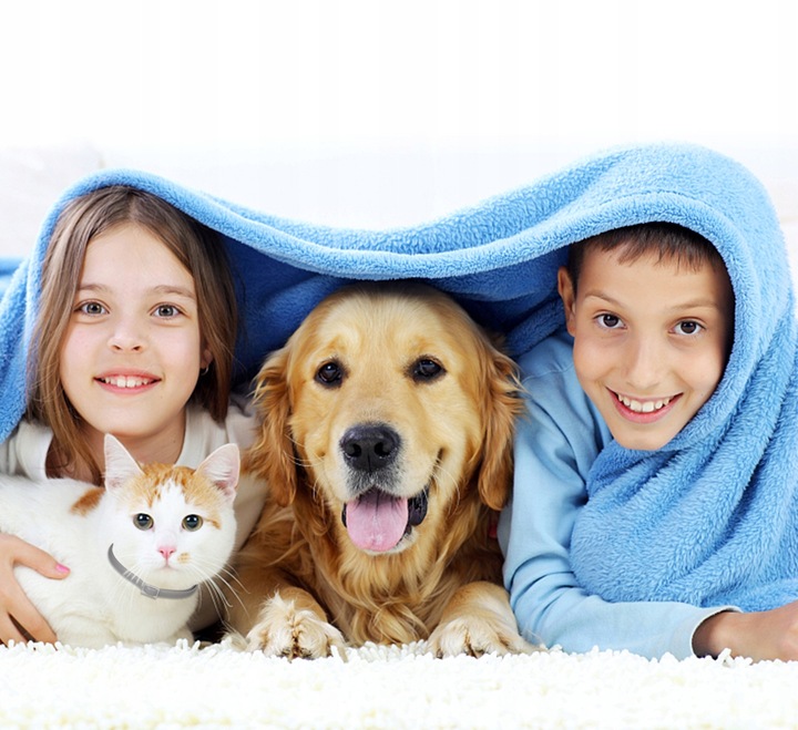 OBROŻA DLA PSA NA PCHŁY KLESZCZE 8 MSC UNIWERSALNA