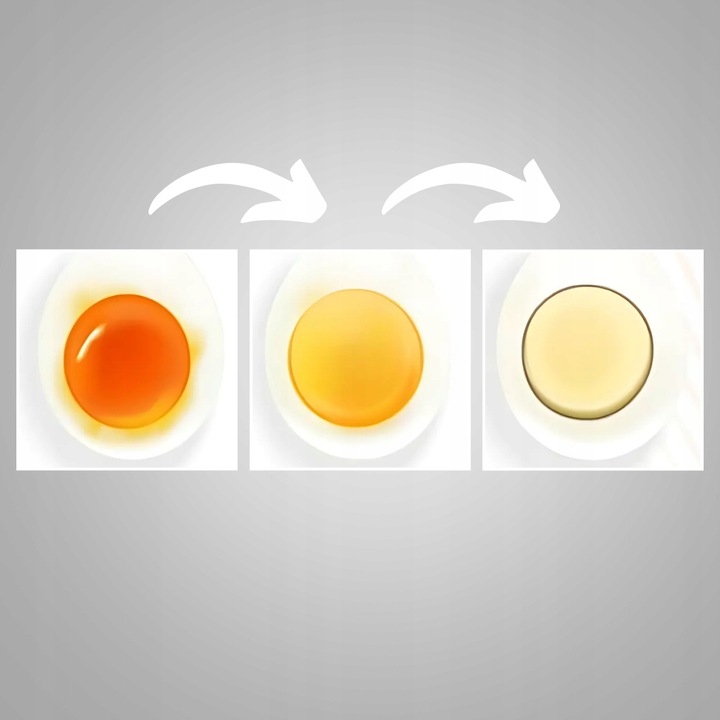 Jajowar elektryczny automat do gotowania jajek