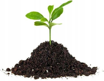 WOKAS KOMPOST OGRODNICZY 50L Użyźnia Ziemię WOKAS