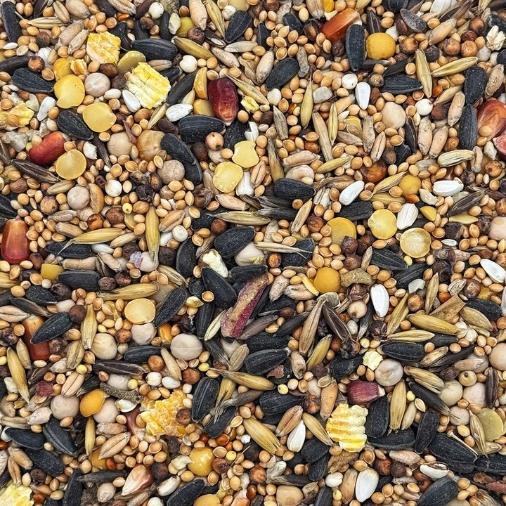 20kg Karma dla papug średnich papugi nimfa rozella pokarm STANDARD Champi