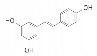 PROTON LABS RESVERATROL 99% czysty proszek | 15g resweratrol