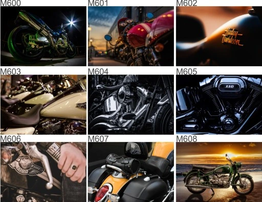 Wyjątkowo Fajna Skarbonka Na Monety z Autowypłatą Prezent Krajobrazy Widoki