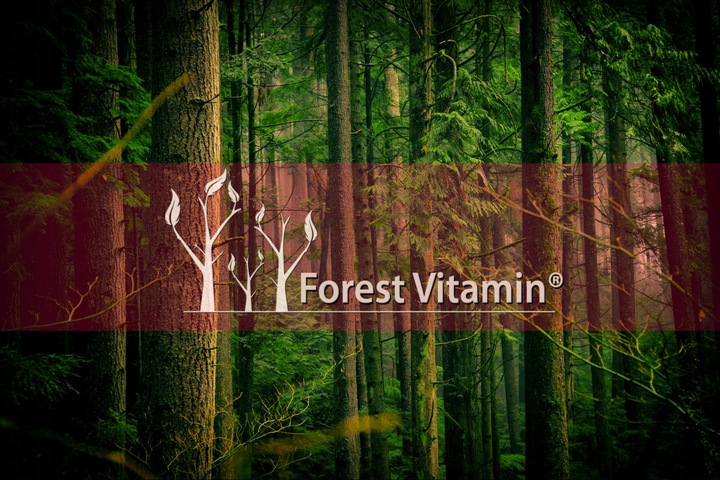 Fosfatydyloseryna 100mg 100kaps PAMIĘĆ NAUKA KONCENTRACJA NOOTROPIK