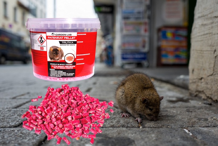 ZATRUTE ZIARNO MOCNA TRUTKA NA MYSZY SZCZURY GRYZONIE WABI