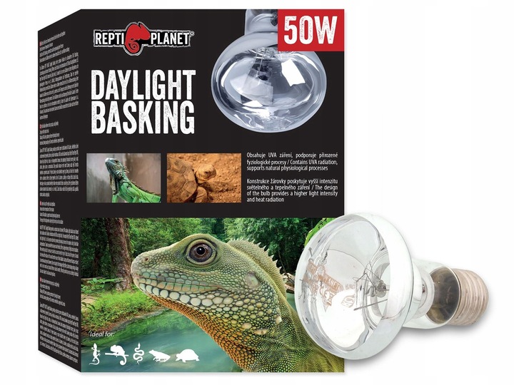 Żarówka grzewcza dzienna Daylight Spot 50W do terrarium Repti Planet
