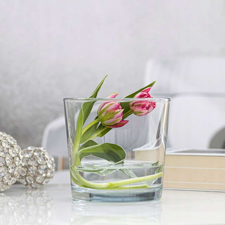 OSŁONKA SZKLANA Na STORCZYK Rośliny Doniczkę Przezroczysta H 16 cm