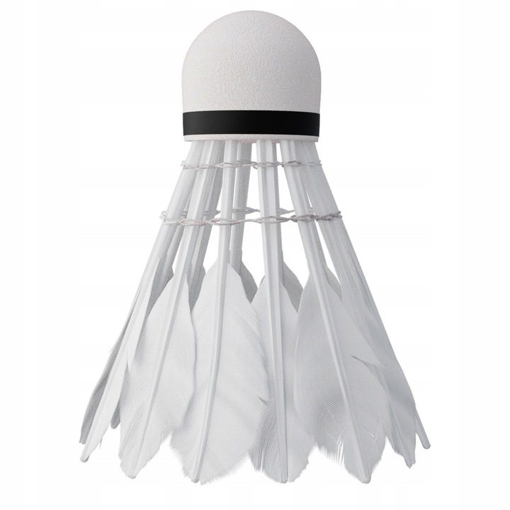 NILS Zestaw 2 Rakiety + 6 Lotek Piórowych Do Gry W Badmintona W Pokrowcu