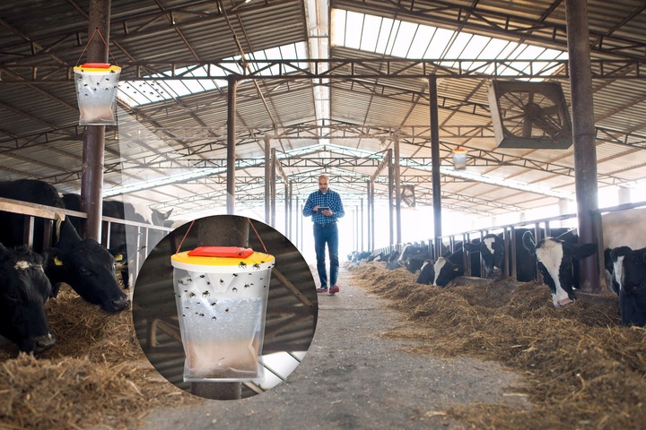 ŚRODEK WOREK PUŁAPKA NA MUCHY KOMARY OSY MESZKI NO PEST FLY CATCHER (3 SZT)