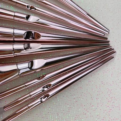 Komplet Pędzli do makijażu Pędzle Profesjonalne 10