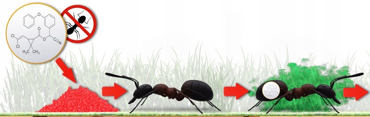 SILNY PROSZEK NA MRÓWKI W DOMU I OGRODZIE 1 KG