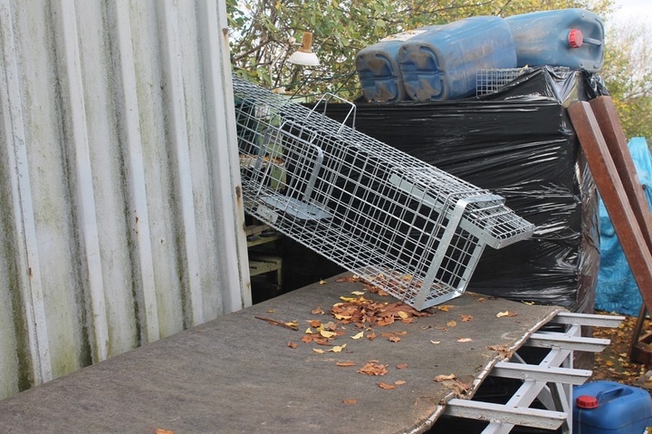 ZYWOŁAPKA PUŁAPKA NA KUNY LISY KOTY BOBRY WYDRY