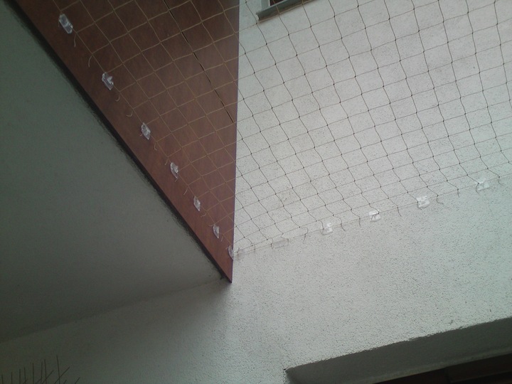 ZESTAW SIATKA NA BALKON DLA KOTA GOŁĘBIE 4x2m, OCZKO 50mm BEZ WIERCENIA