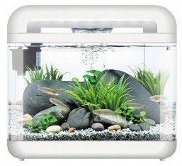 INVITAL EasyTank CASCADE LED 17 litrów biały