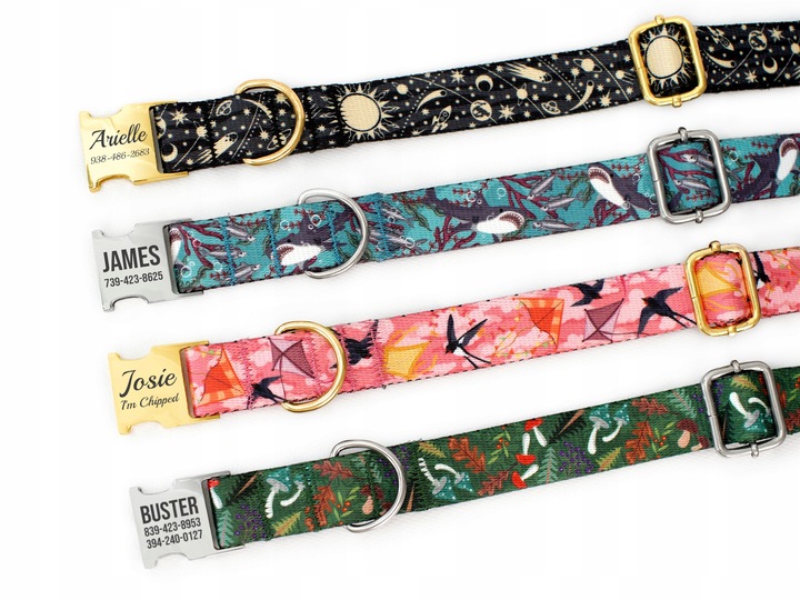 Obroża dla psa z klamrą Space rozmiar M