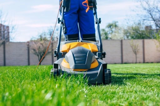 TRAWA MIESZANKA TRAWY z mikrokoniczyną koniczyna 2kg TRAWNIK SAMONAWOŻĄCY