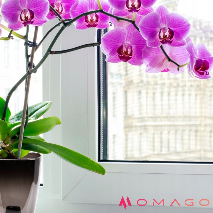 3 x OSŁONKA OSŁONA DONICZKA NA STORCZYK 12CM GRAFIT