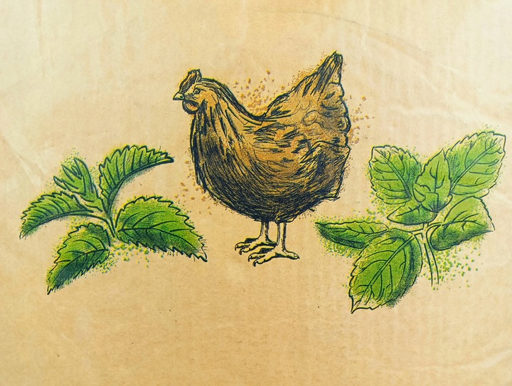 PASZA DLA KUR NIOSEK 25KG KARMA DLA KUR NIOSEK WITAMINY Z POKRZYWĄ I MIĘTĄ