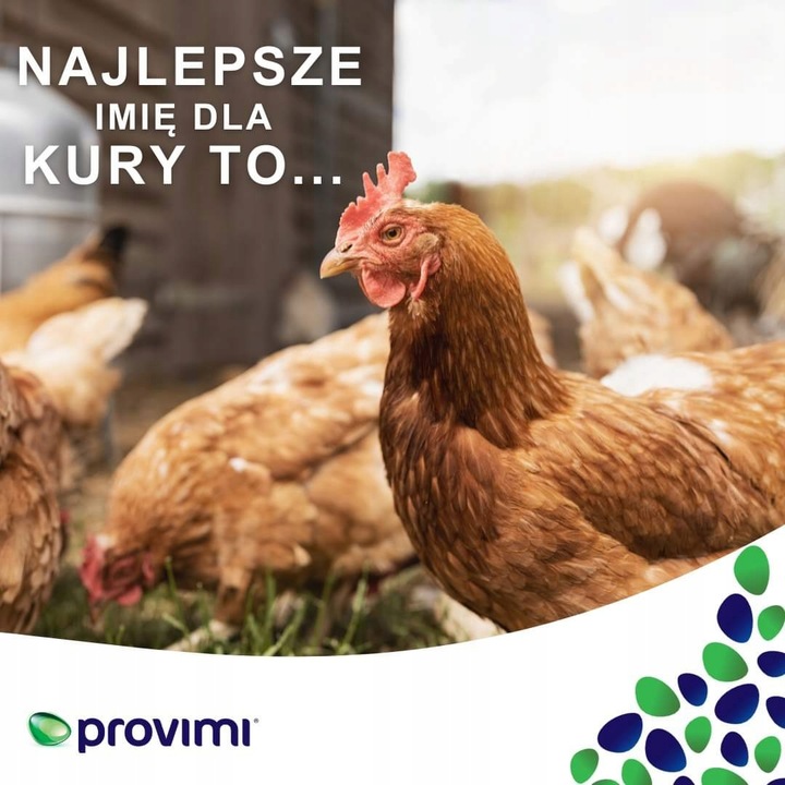 Karma dla kur Provimi KOKOSZKA SMAKOSZKA cargill sypka pasza nioska mlewnik