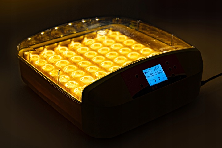 INKUBATOR AUTOMATYCZNY OVO do 56 JAJ wylęgarka klujnik + PRZEŚWIETLARKA