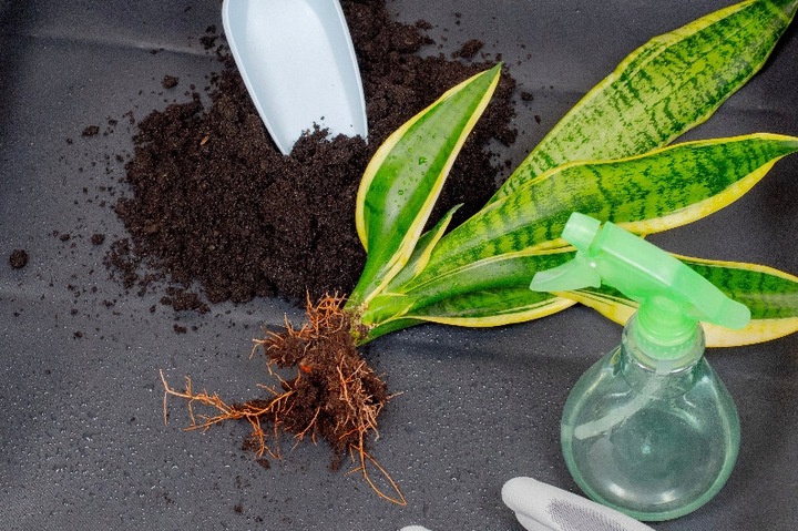 Mata Duża do Przesadzania Roślin Gardenowo XL 94x94cm