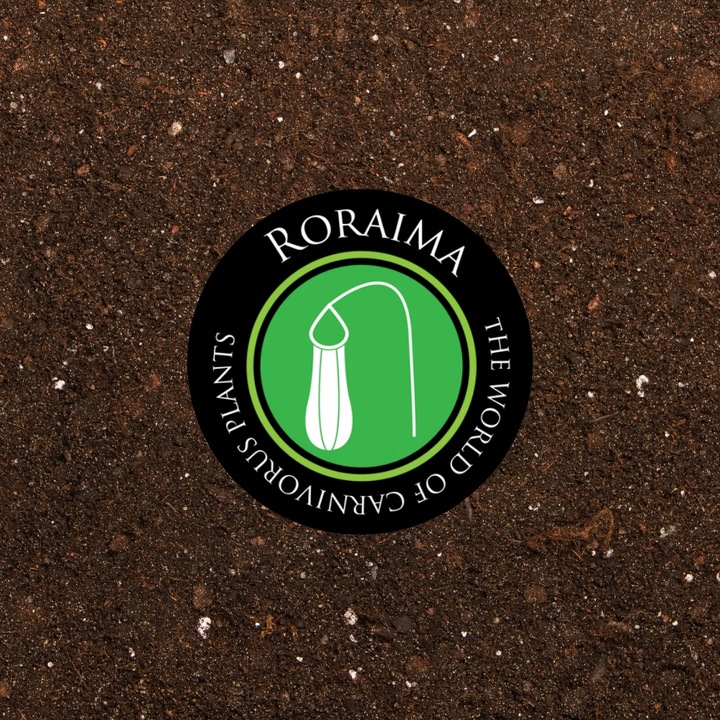 Głodna MUCHOŁÓWKA największa XXXL 4-letnia