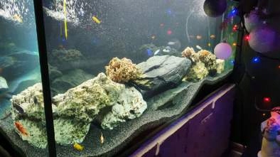 LAWA LAWA WULKANICZNA 2-8 mm 25 kg ŻWIREK AKWARIUM NA DNO