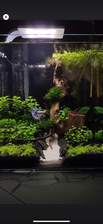 30 KG SUPER BIAŁY PIASEK KWARCOWY DO AKWARIUM 0,5m