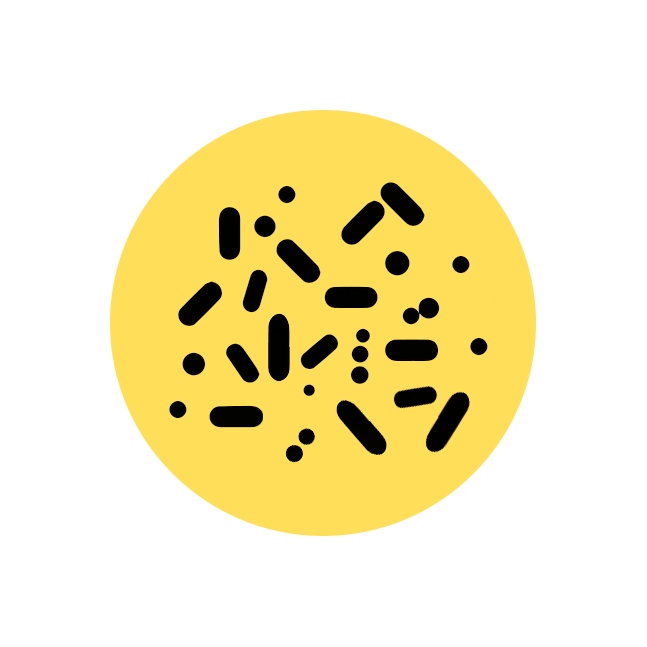 TABLETKI do SZAMBA Sanidenn TABS 52 szt. BAKTERIE do OCZYSZCZALNI na